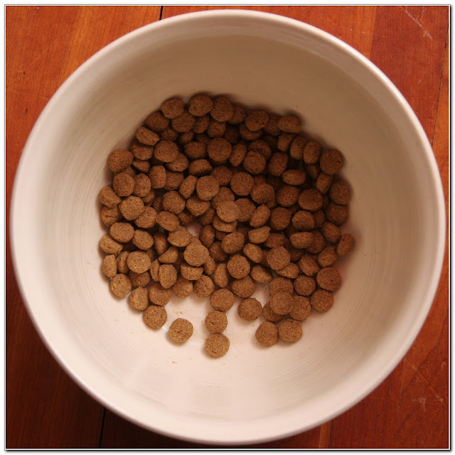 Small Kibble Dog Food Reviews