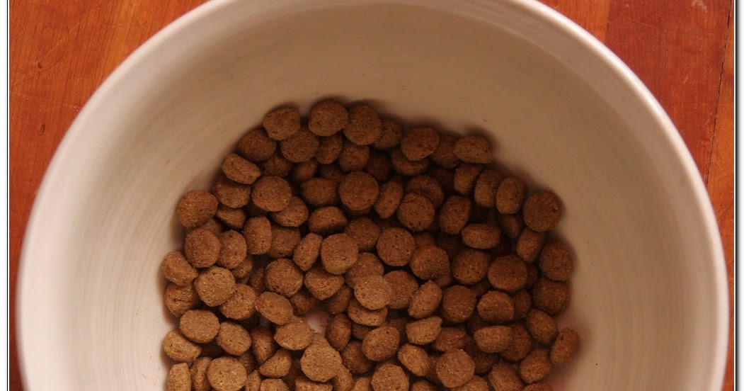 KIBBLE DOGS