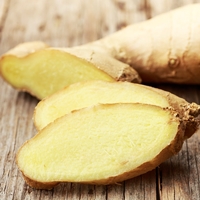 gengibre Plantas medicinais contra a dor