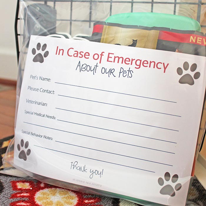 Free Printable Pet Emergency Card for a Cat Travel Kit Sunny Day Family
