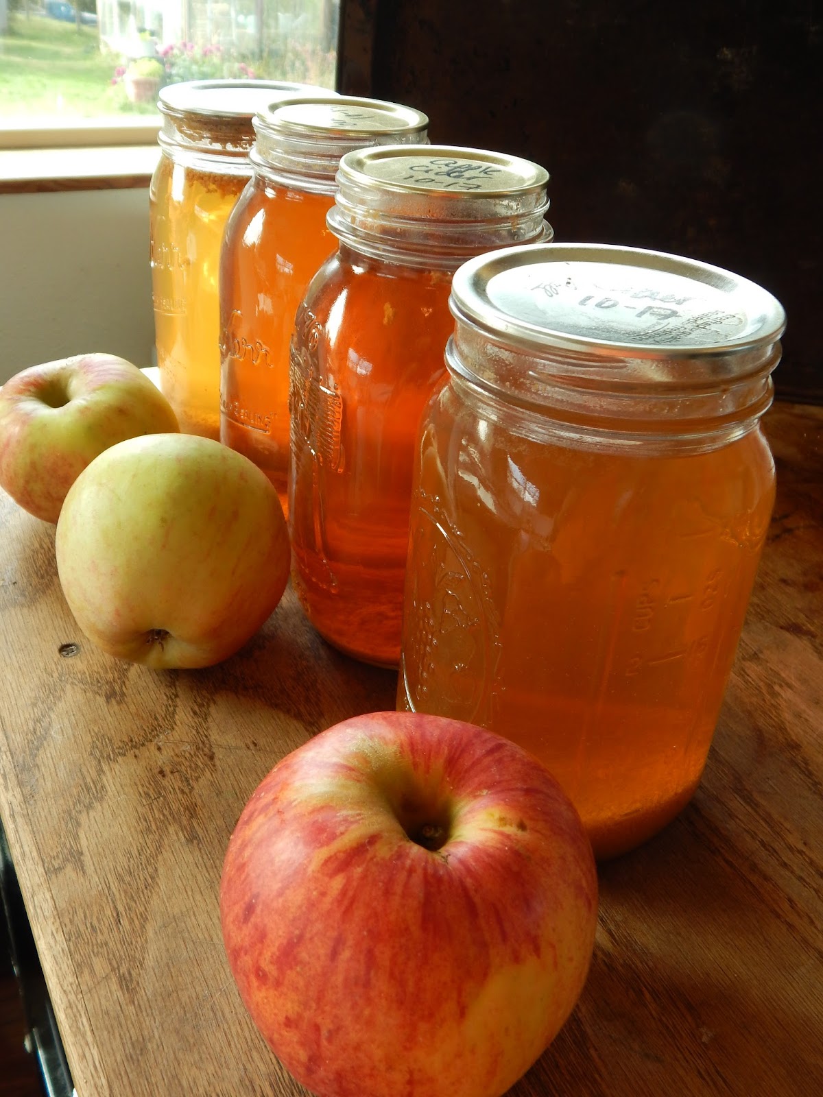 How to Make Apple Cider With an Electric Juicer Proverbs 31 Homestead