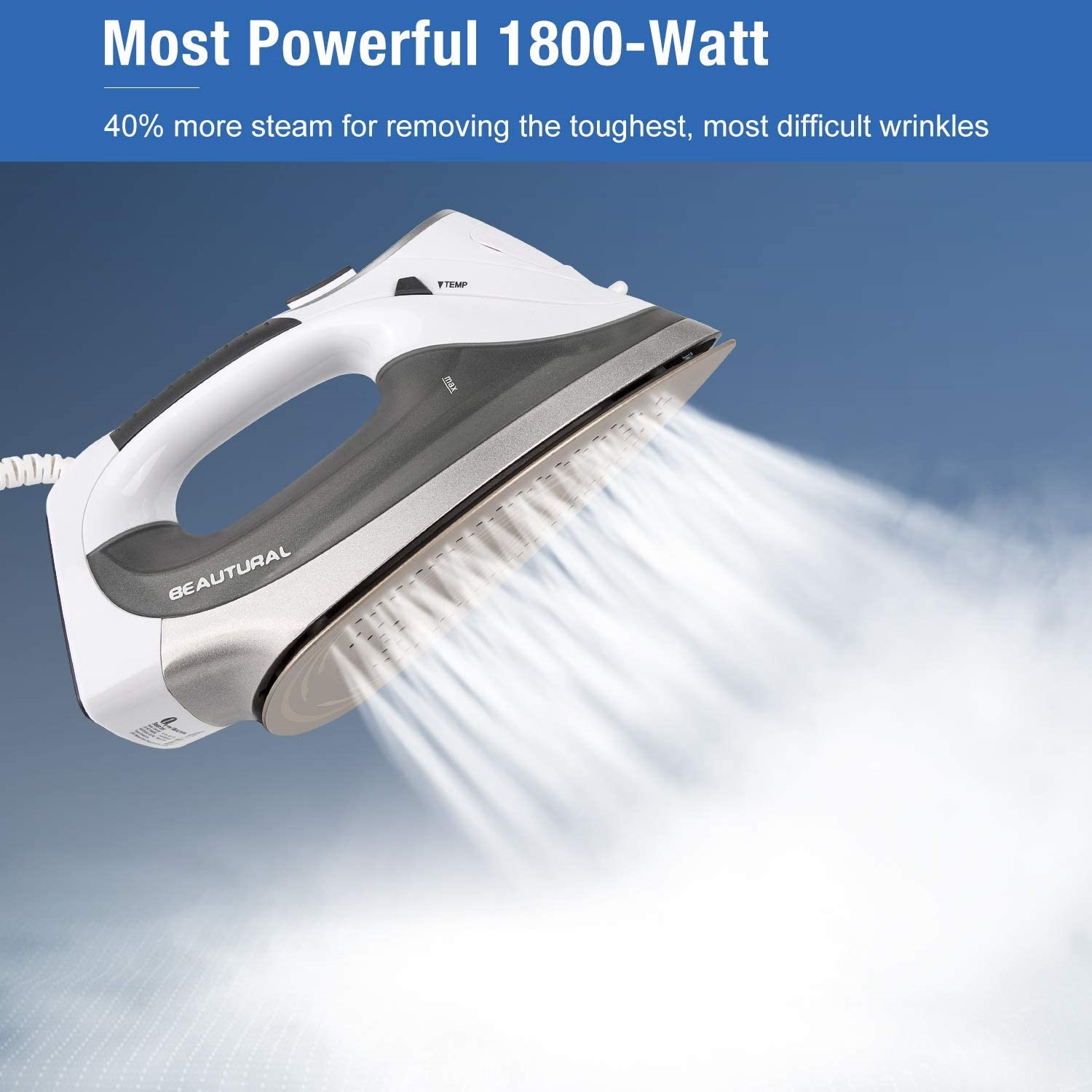 Best Steam Iron of 2020