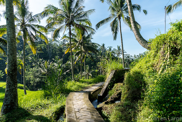 Gunung Kawi - Ubud - Bali