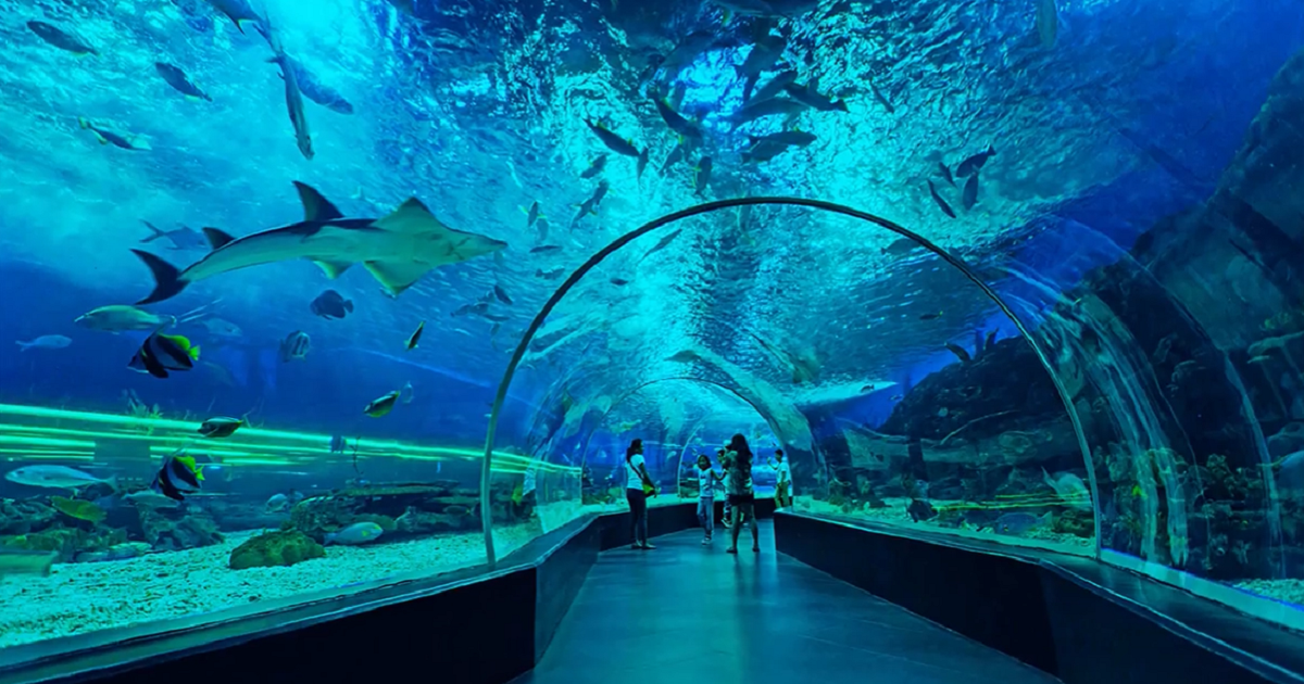 Biggest Oceanarium in the Philippines opens in Cebu
