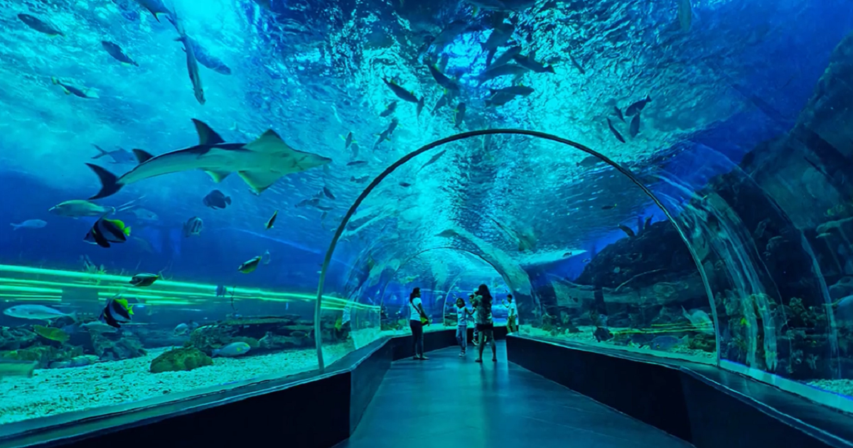 oceanarium singapore ticket price