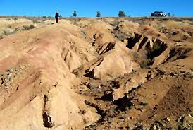 Putroe Intan - Dunia Alam Flora Fauna dan Lingkungan