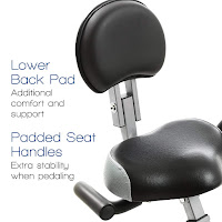 Adjustable large padded seat with lower backrest on Xterra FB350 Exercise Bike, image