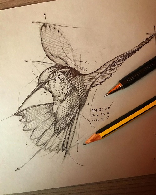 My Owl Barn: Amazing Geometric Drawings of Animals and Birds by Psdelux