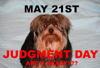 Coco judgment day