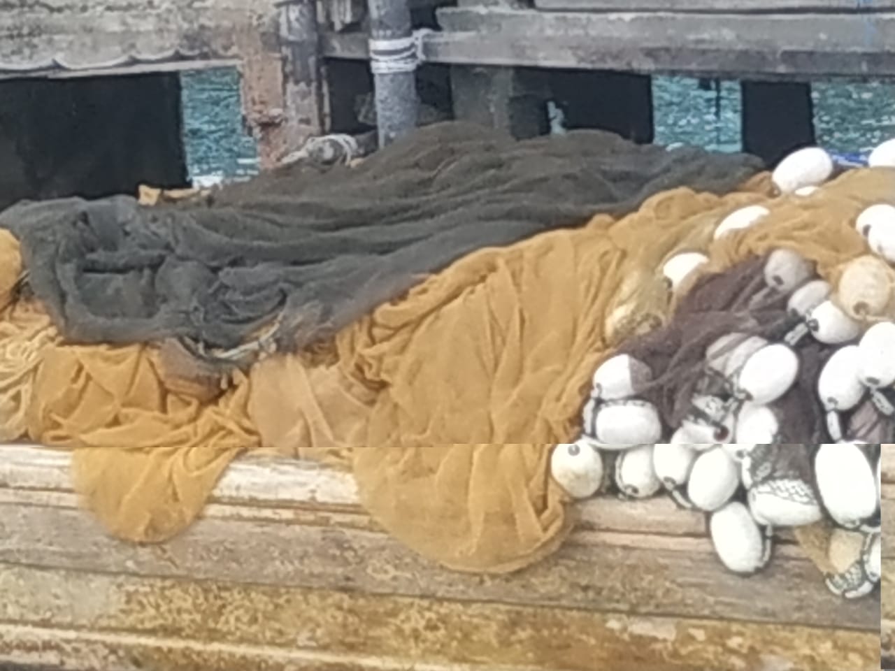 Nelayan Barelang Diduga Gunakan Pukat Harimau Tangkap Ikan Buruh Today