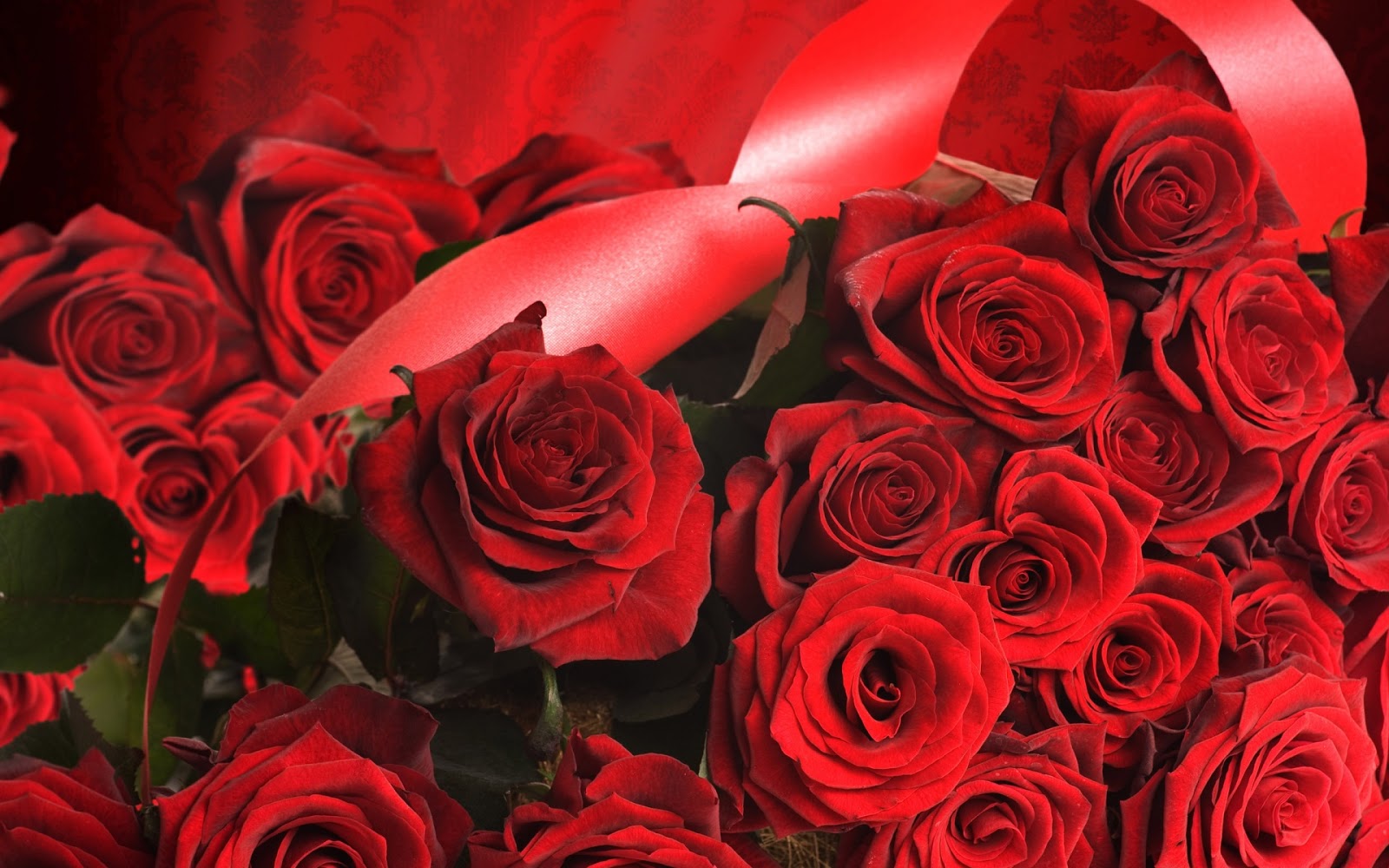 Red-Roses-Background