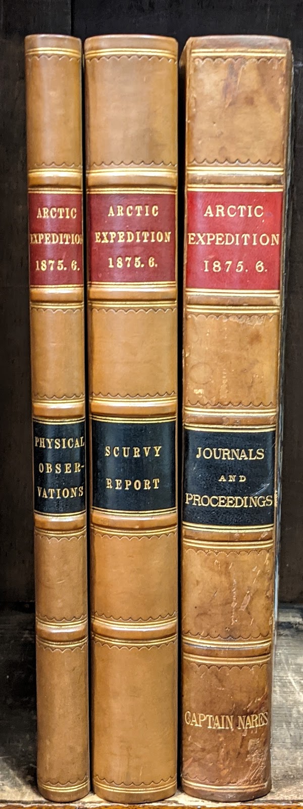 Bjarne Tokerud Bookseller James Penrose. Studio Portrait of Woodlands