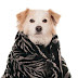 Χρειάζονται οι σκύλοι κουβέρτες τον χειμώνα;...