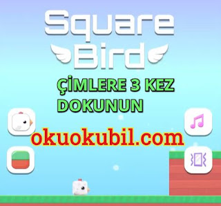 Square Bird v3.53 Zor Engelleri Aş Para, Kilitsiz Hileli Apk 2020