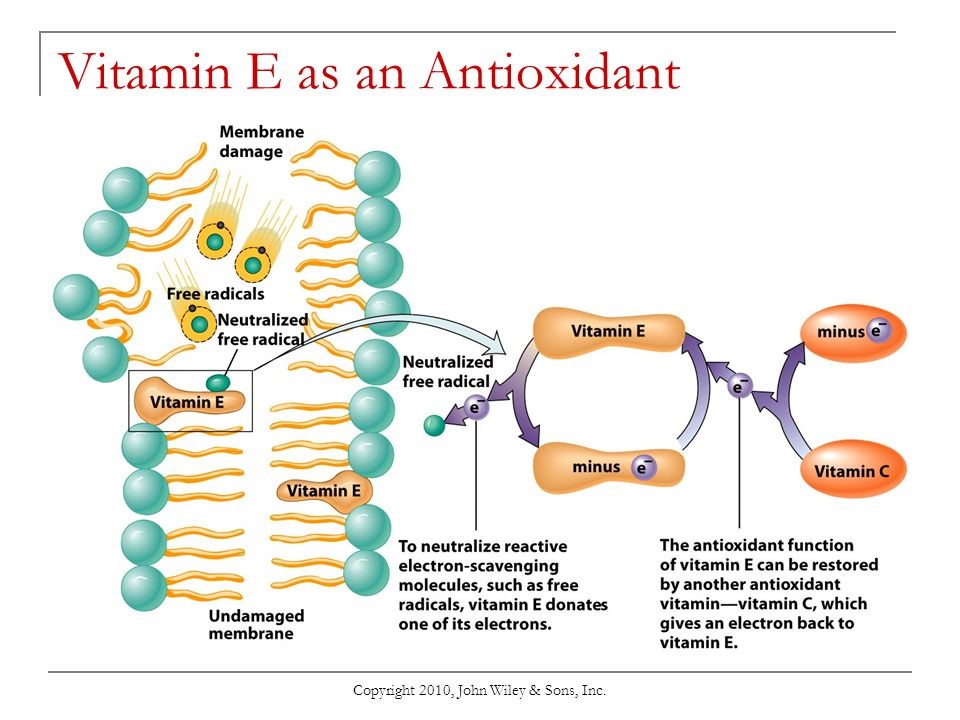 Biomedical sciences and pharmacology Vitamin E as a potential treatment for Alzheimer’s disease