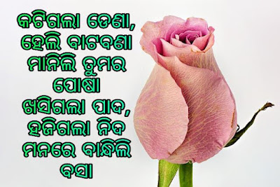 Odia Love Shayari Odia Love Shayari