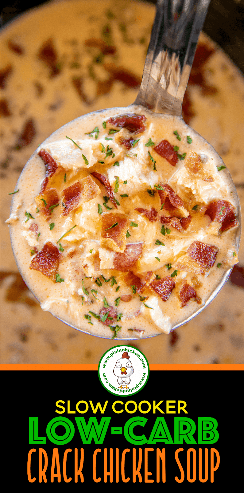 Slow Cooker LowCarb Crack Chicken Soup Plain Chicken®