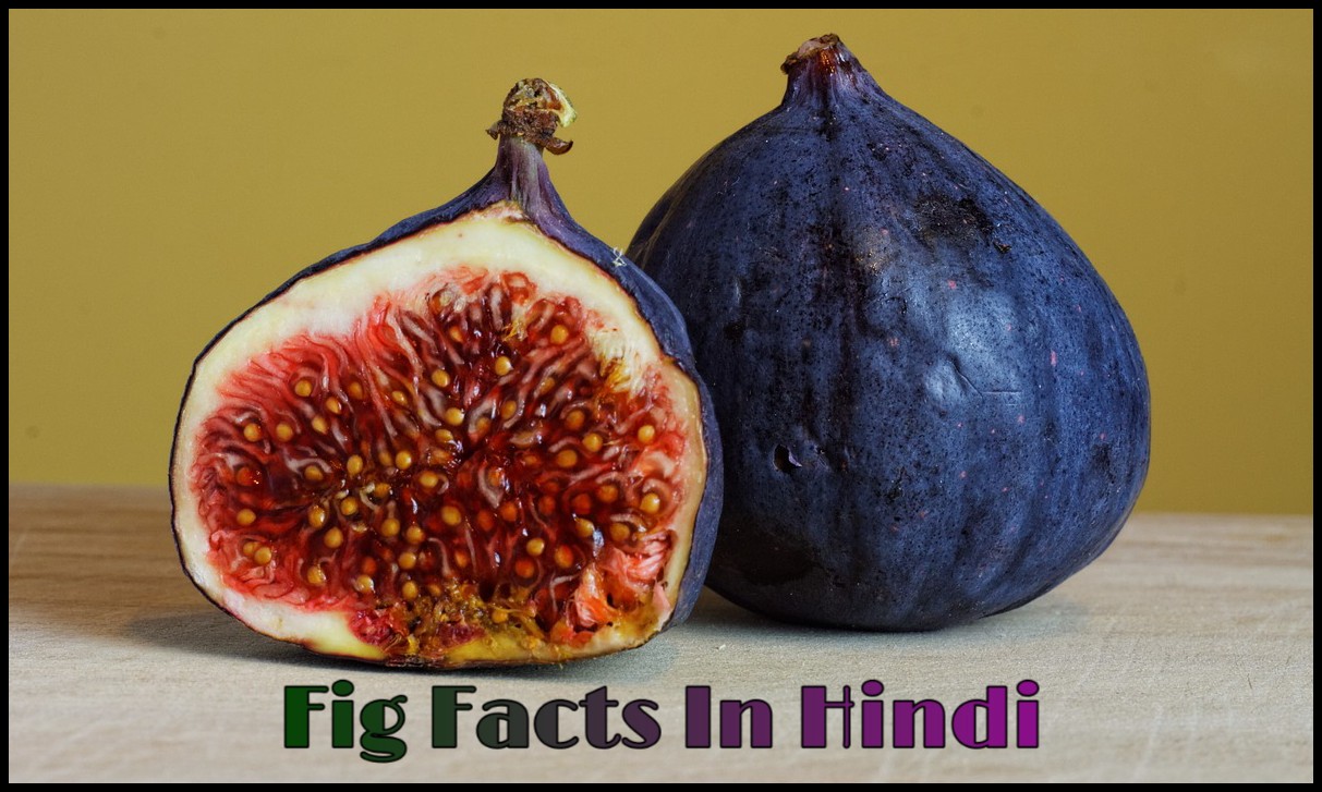 Hindi7Facts