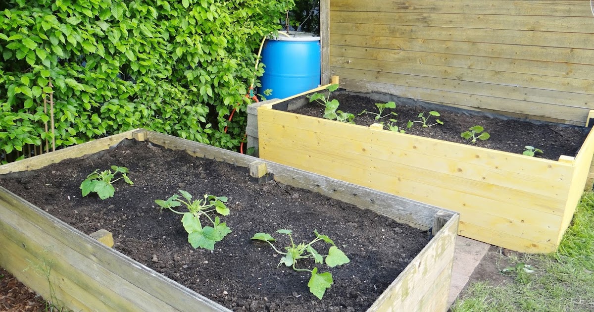 trixistrauminsel: Neues Hochbeet im Garten und Hagelschäden