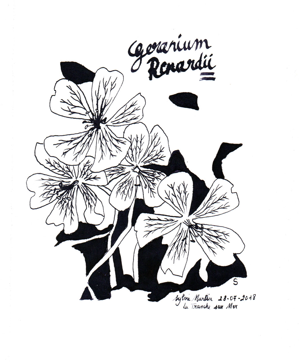 Google Image Result For Http 3 Bp Blogspot Com Ydibkg78ioq