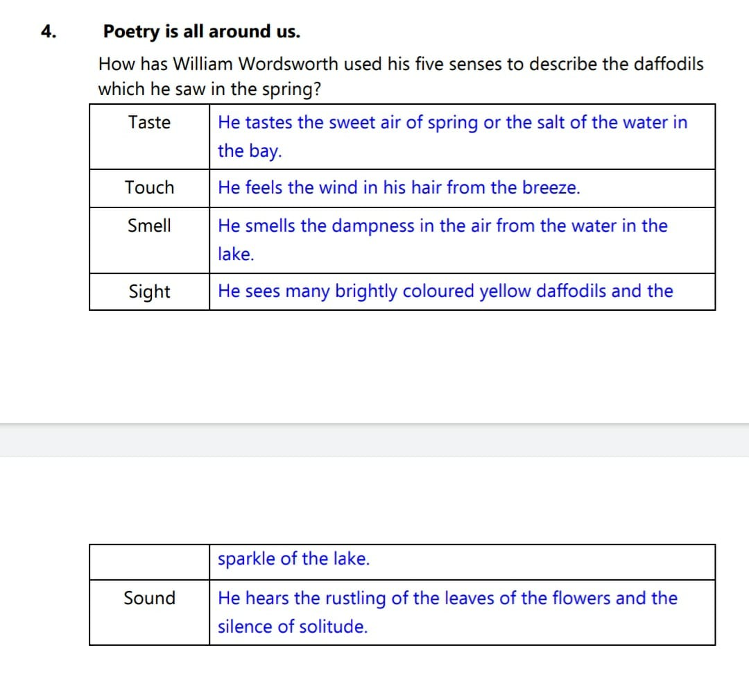 ENGLISH DAFFODILS (WORKBOOK)