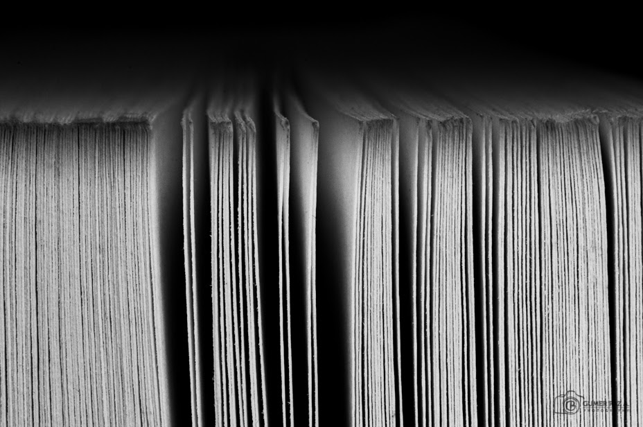 Gumer Paz A. fotografía Quod scripsi, scripsi.