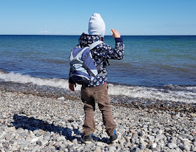 Küsten-Spaziergänge rund um Kiel, Teil 3: Raps, Steine und Meer bei Hohenfelde. Steine sammeln und ins Wasser werfen finden unsere Kinder großartig.