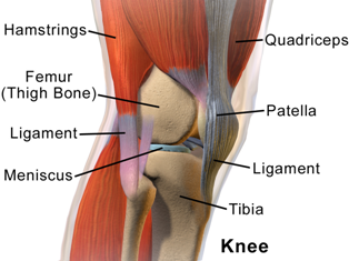 Old Age knee Pain Natural Home Remedies