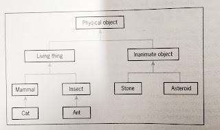 47.Inheritance Polymorphism and Operator overloading in Python