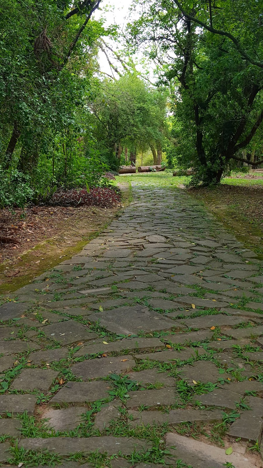 Jardim Botânico Jardim Botânico