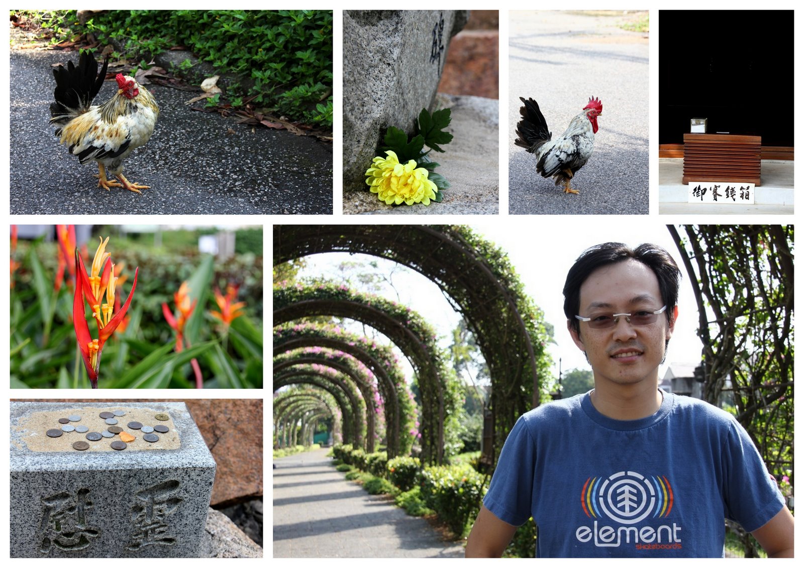 The Happily After Changs Japanese Cemetery Park 日本人墓地公園