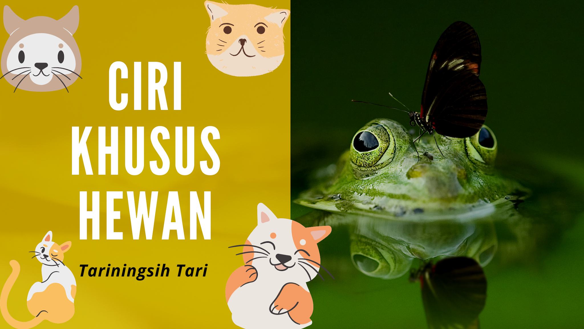 Ciri Khusus Hewan - Cahaya Mentari