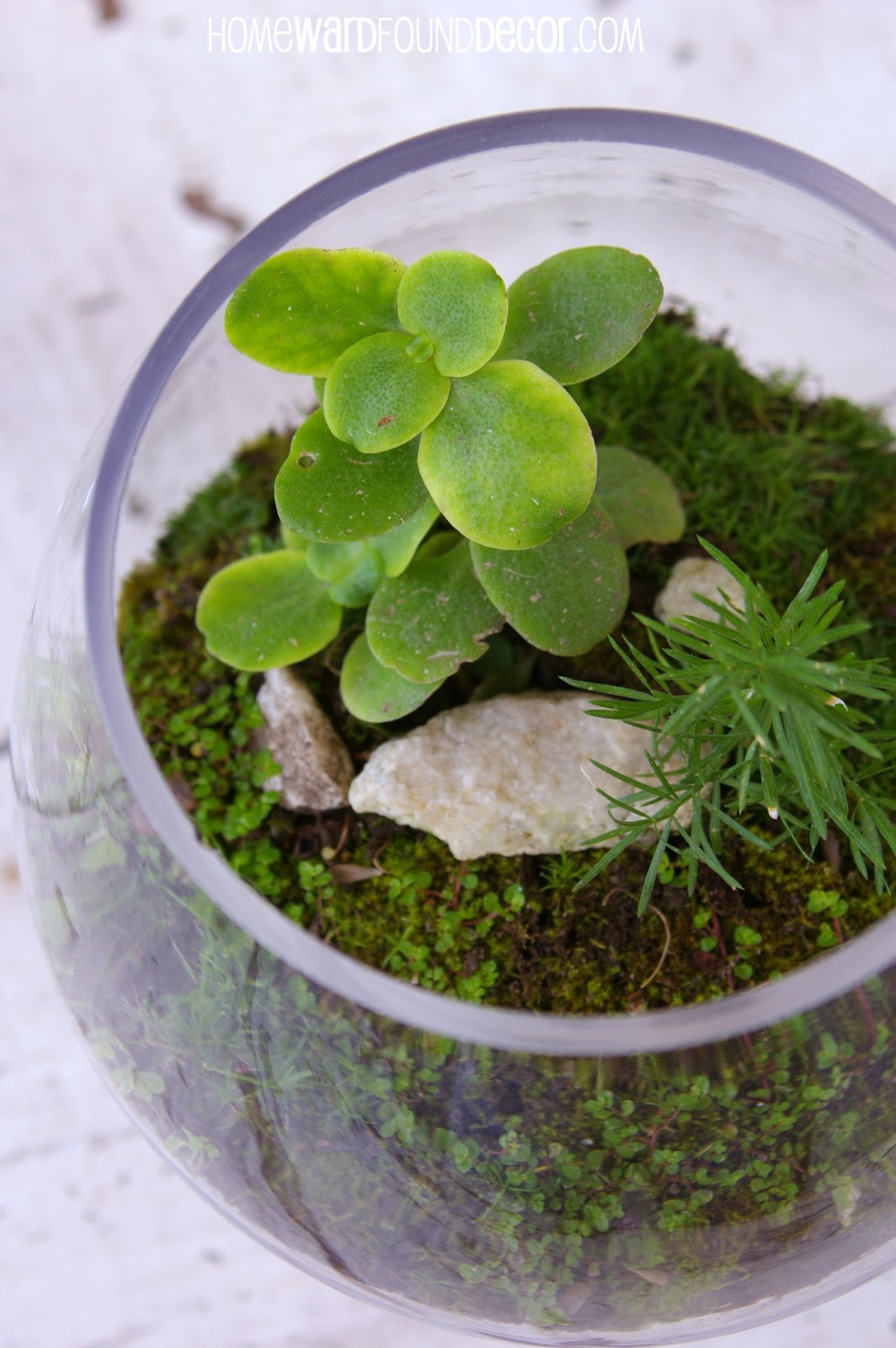 homeward found decor: How to Make a FREE Moss Terrarium