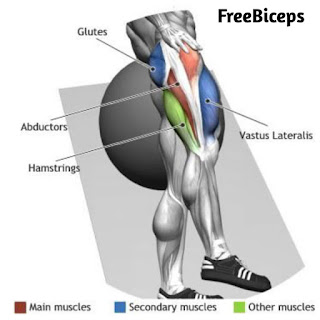 side leg raises