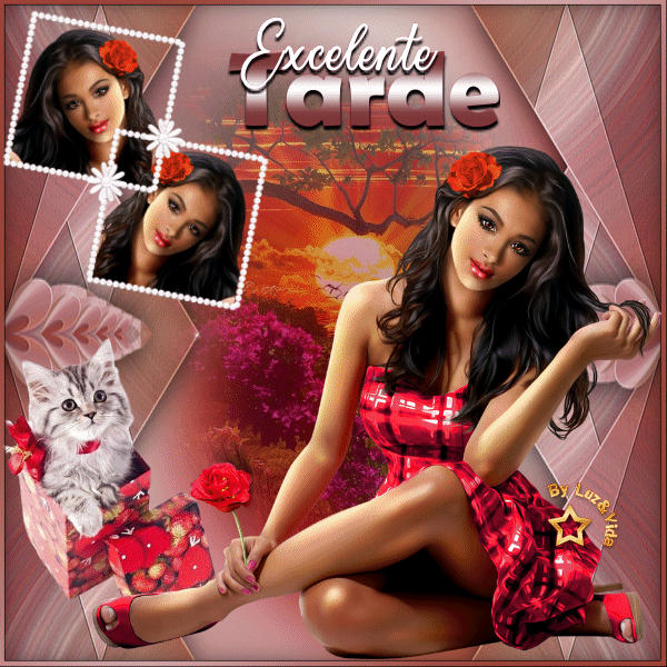 BLOGS102-%2528MB%2529maryluz.gif