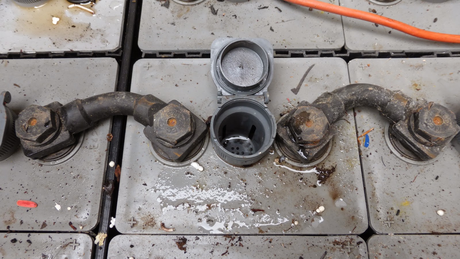 Backsbottom Farm Battery Farming