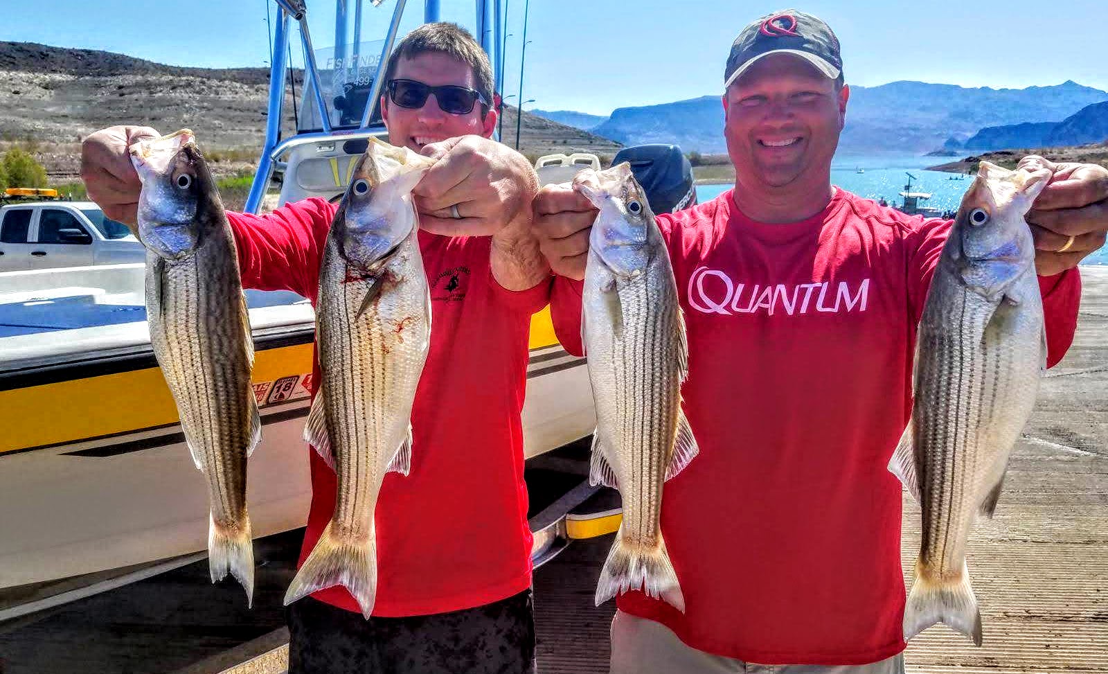 Fishing with Todd Reed LAS VEGAS Lake Mead Striper Fishing