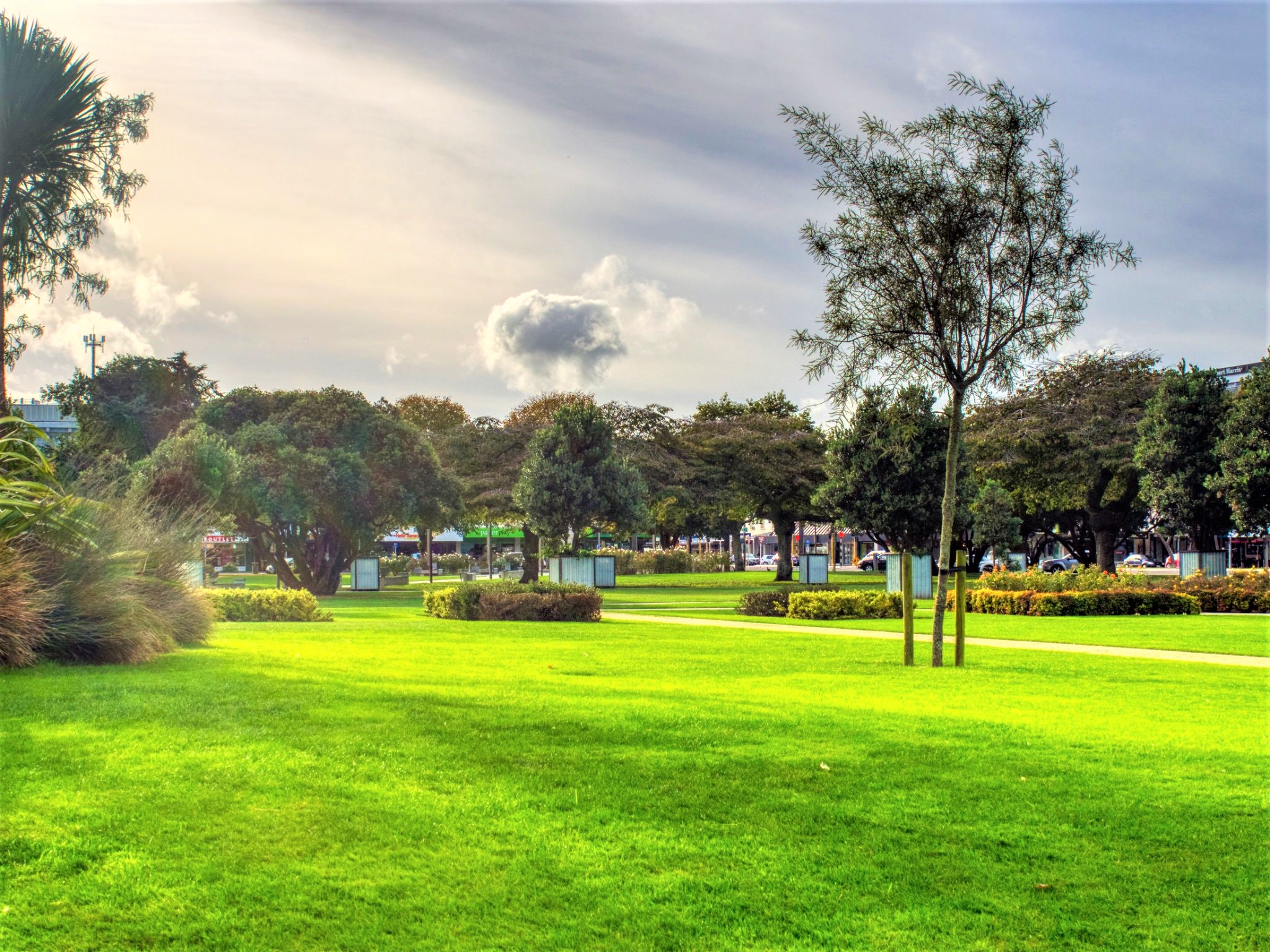 5five5 Palmerston North New Zealand