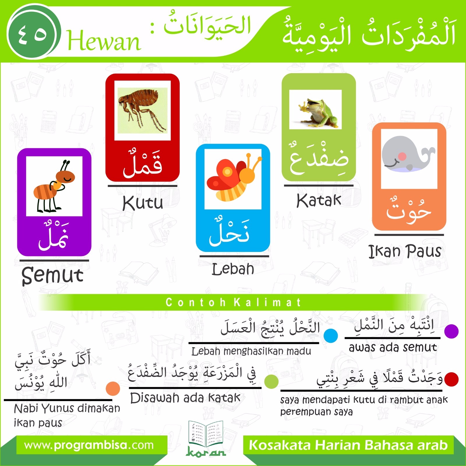 Belajar Bahasa  Arab  KORAN BAHASA  ARAB  Edisi 44 Hewan  