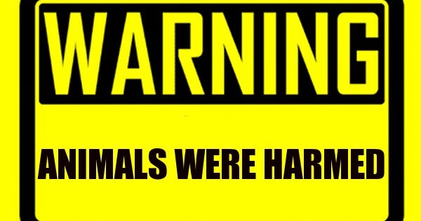 Examples of half-truths in advertising image