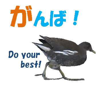 Line クリエイターズスタンプ 鳥の思い Example With Gif Animation