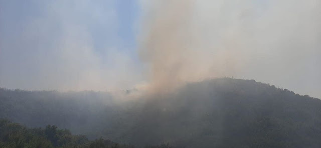 Σε εξέλιξη πυρκαγιά στη Λύβενα του Δήμου Φοινικαίων