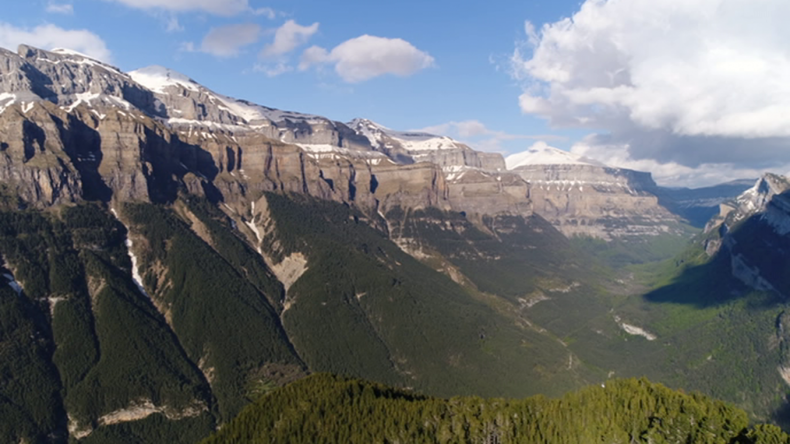 El bosque protector Recurso audiovisual para trabajar la naturaleza