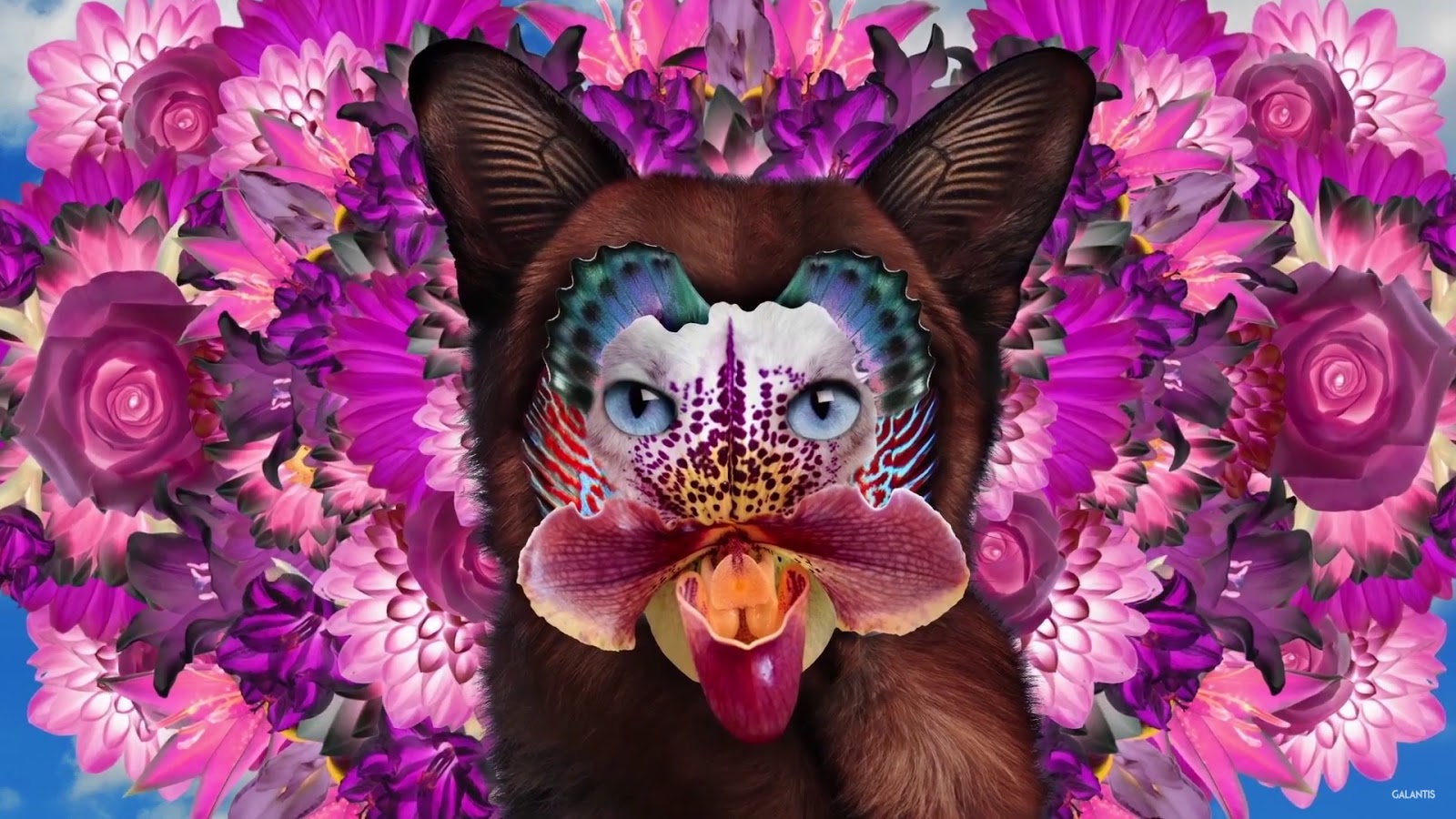 galantis no money official audio 365 days with music galantis no money official audio 365 days with music