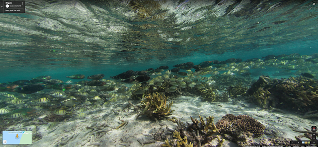 Underwater Street View of Oyster Stacks Snorkelling Area