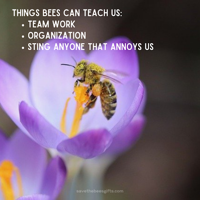 Save Bees Memes