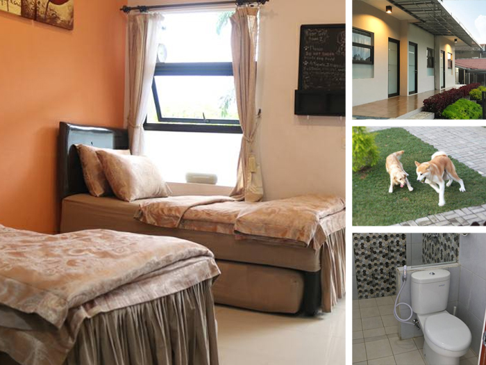 Mj S Guesthouse Lembang Penginapan Buat Dog Lovers Wisatabdg Com