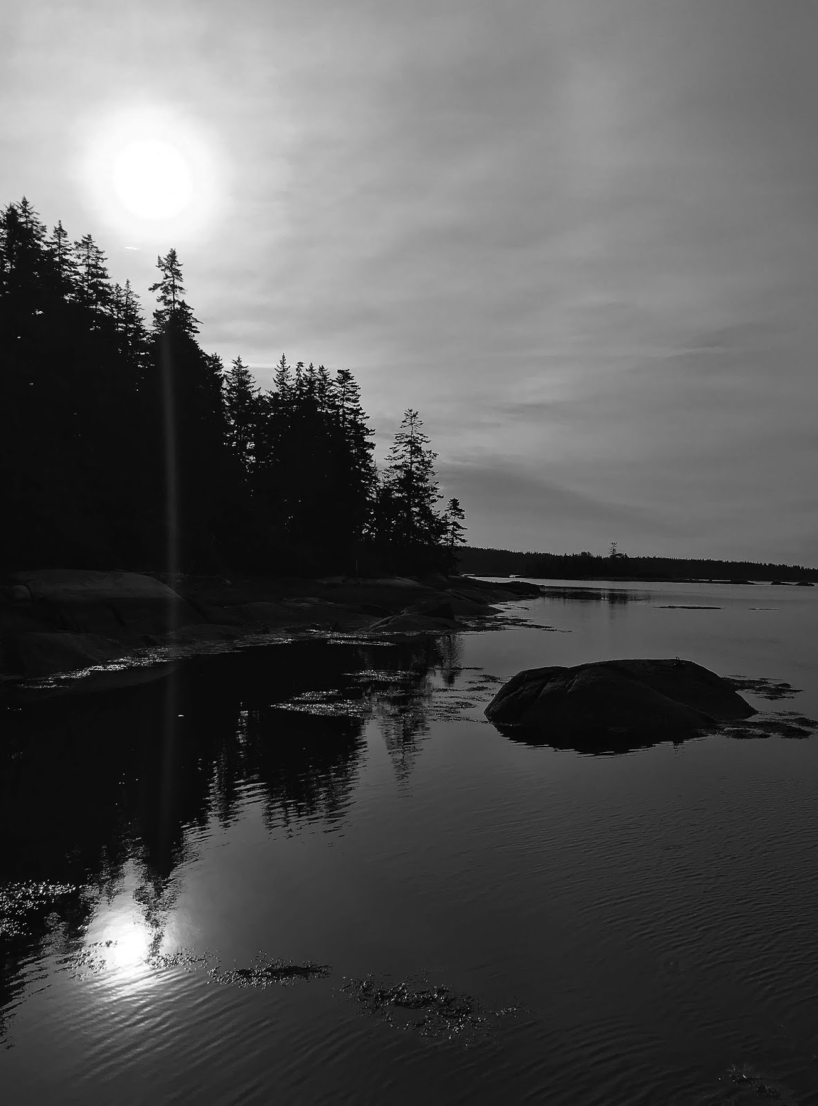 Vinalhaven Sightings