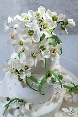 italian cake art per chi vuole avvicinarsi al cake design