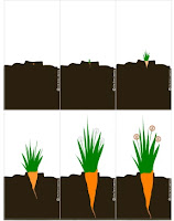 Little Stars Learning: Seeds, Seeds, Seeds! Book Activity #2 Plant